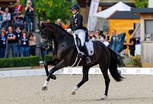 Pferdesport/Dressur: Europameisterschaft - Stefan Lafrentz/dpa