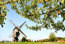 LWL-Freilichtmuseum Detmold - 2 - 1 - LWL/Robin Jähne