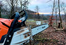 Kettensäge - Janet König