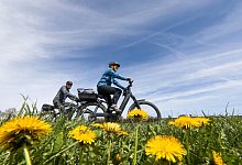 So planen Sie Ihre Radreise - Thomas Warnack/dpa