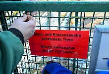 Ausbruch der Maul- und Klauenseuche - Jens Kalaene/dpa