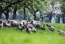 Wetter in Baden-W&uuml;rttemberg - Thomas Warnack/dpa