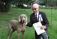 Wolfgang F&uuml;hring richtet &uuml;ber Weimaraner - Lemgo