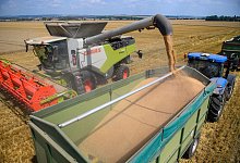 Getreideernte - Klaus-Dietmar Gabbert/dpa