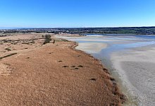 Wasserstand des Bodensees - Felix Kästle/dpa