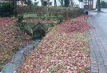 miw-starkregenkonzept-1 - Michaela Wei&szlig;e