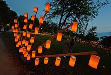 NIC_5091b - Nicole Ellerbrake