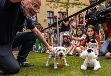 Museum f&uuml;r Kommunikation feiert 60. Geburtstag von Idefix - Carsten Koall/dpa