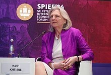 Internationales Wirtschaftsforum in St. Petersburg - Ulf Mauder/dpa