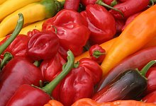 Bunte Auswahl - Ulrike Loll-Rubart