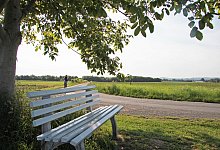 Lieme West - Katrin Kantelberg