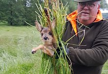 Save the kitz - CDU-Kreistagsfraktion Lippe