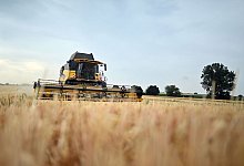 Die Ackerbauern hoffen auf ein gutes Jahr. - Klaus-Dietmar Gabbert/dpa