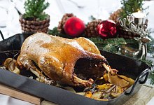 Weihnachtsgans - Tobias Hase/dpa-tmn