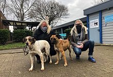 Tierheim Bad Salzuflen - Sven Kienscherf