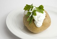 Magere Knolle - Foto: dpa