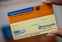 Organspendeausweis - Michael Kappeler/dpa