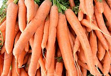 Möhren - Foto: Holger Hollemann/dpa