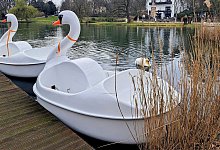 Schwanen-Tretboote - Annika Langhagel