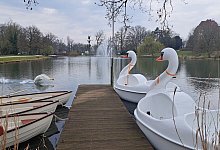 Bootsverleih am Kurparksee - 1 - Annika Langhagel