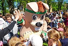 nic_4357b - 1 - Archivfoto: Nicole Ellerbrake