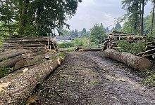 bild-2 - 1 - Leonard Gödde