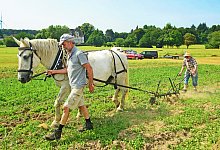 nic_2089b - 1 - Nicole Ellerbrake