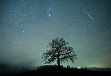 KINA_Lange_leuchtend_80296030 - 1 - Matthias Balk/dpa