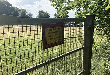 SL Sportplatz Holzhausen-Externsteine - 1 - Cordula Gröne