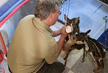 20250611_165922 - 2 - Astrid Sewing