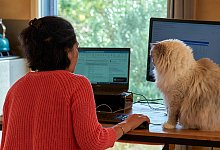 FRANCE - HOMEOFFICE - ILLUSTRATION - 1 - picture alliance / Hans Lucas