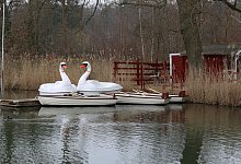Bootsverleih am Kurparksee - Annika Langhagel