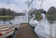 Bootsverleih am Kurparksee - Annika Langhagel