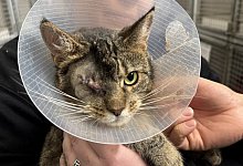 img_3446 - 1 - Sven Kienscherf