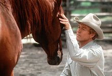 Robert Redford wird 75 - 1 - picture alliance / dpa