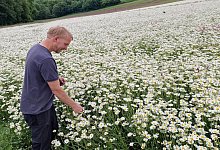 Werner Klemme - Nadine Uphoff