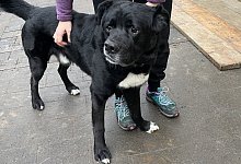 Fritz - 2 - 1 - Jule Prietzel