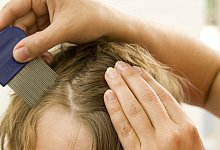 laeuseirisblende_0012 - 1 - Symbolfoto