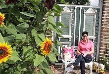 img_9041 - 1 - Uwe Müller