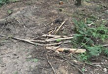 img_8317 - 1 - Sven Kienscherf