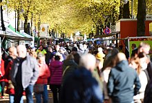 Parken Bauernmarkt - 1 - Nicole Ellerbrake
