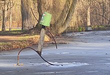 20260117_120743 - Marianne Schwarzer