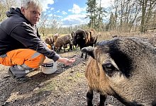 aufmacher-1 - 1 - Sven Kienscherf