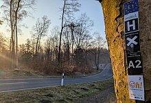 pxl_20250401_053320032mp - 1 - Yvonne Glandien