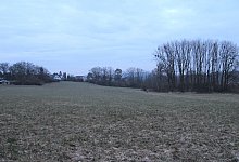 img_6781k - 1 - Archivfoto: Jana Beckmann