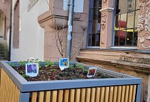 blumenkubel - 1 - Katrin Kantelberg