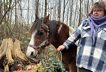 Silber-Ranch - 1 - Sandra Castrup