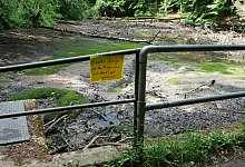 2025_0616_120618v-hinnaksteich - Martin Düsterberg