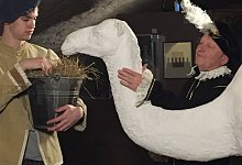 dromedar-mit-graf-und-tierpfleger - 1 - Weserrenaissance-Museum Schloss Brake