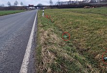 Weinflaschen an der Wiembecker Straße - Nadine Uphoff